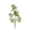 31.5" Artificial Schefflera Leaf Spray | Faux Greenery Stem for Floral Arrangements & Home Decor (FG662874)